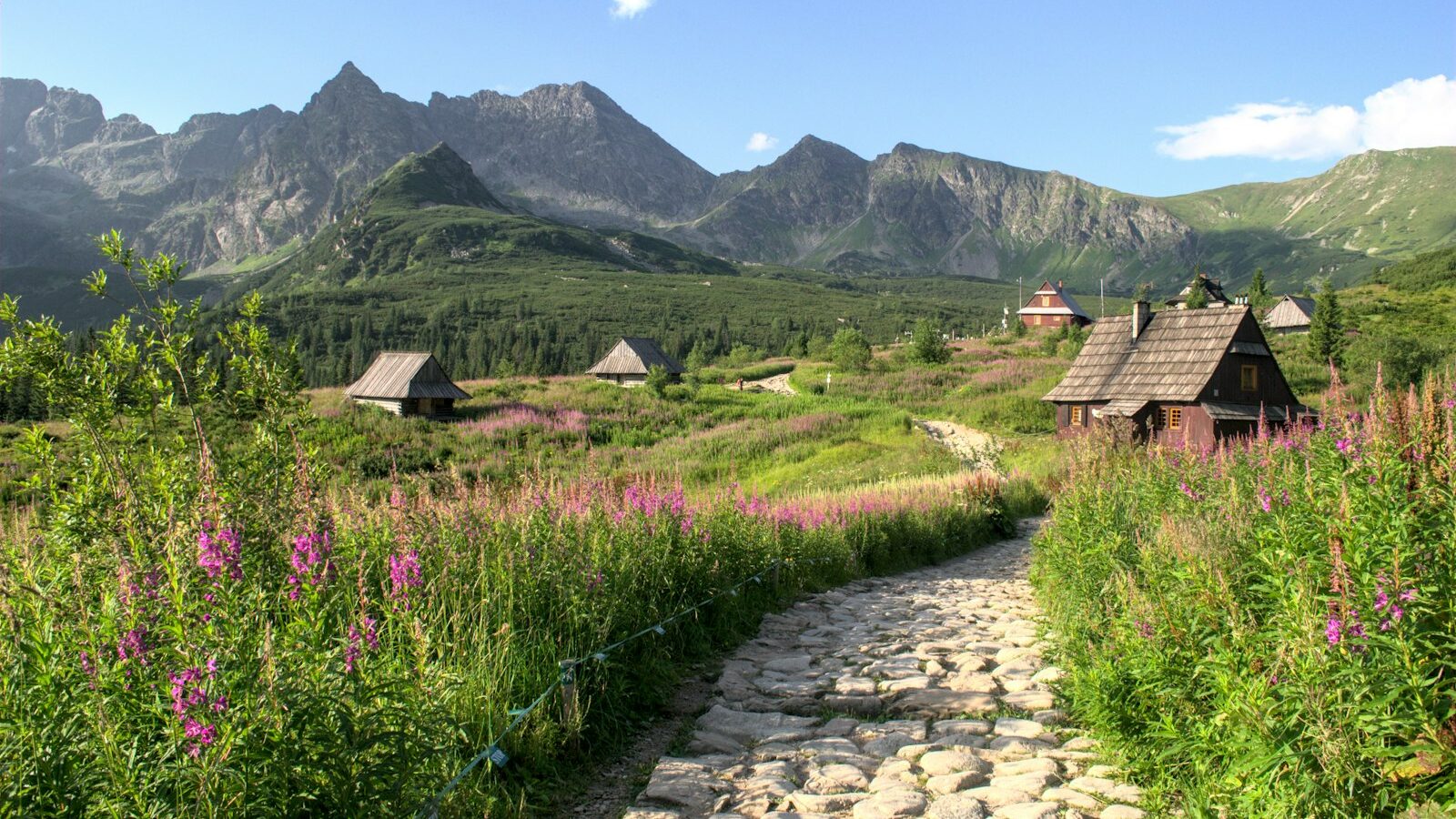 Zakopane i Tatry